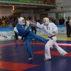 X Кубок России по Кудо 2017
