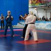 X Кубок России по Кудо 2017
