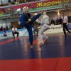 X Кубок России по Кудо 2017