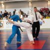 X Кубок России по Кудо 2017